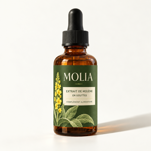 Flacon MOLIA — extrait de molène