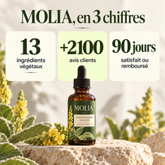 MOLIA en trois chiffres