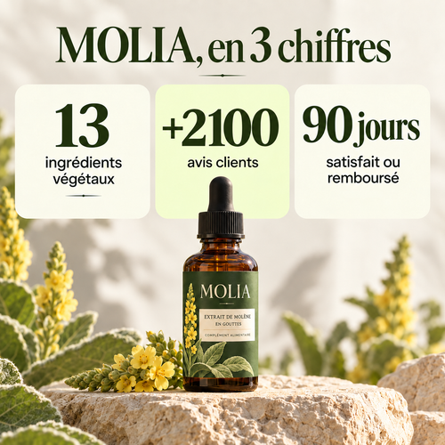 MOLIA en trois chiffres